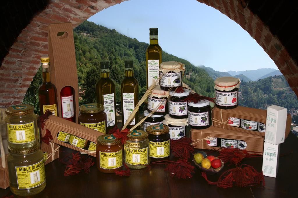 Agriturismo La Torre Bagni di Lucca Luaran gambar